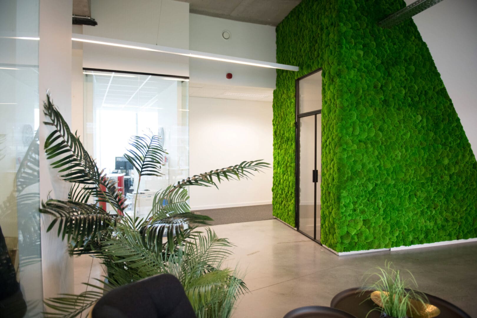 A room with green walls and plants in it
