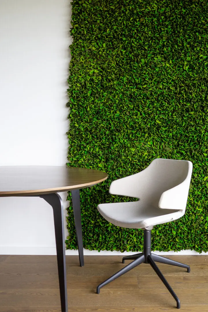 A table and chair in front of a wall with green plants.