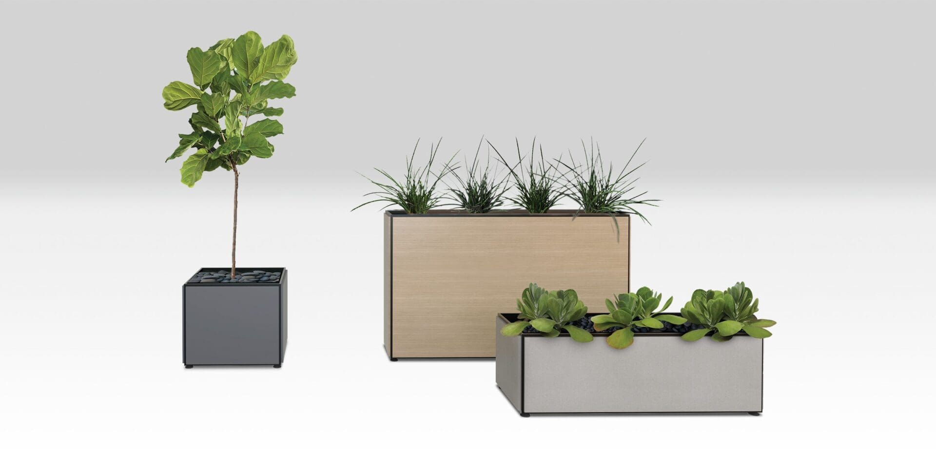 A group of three planters with plants in them.